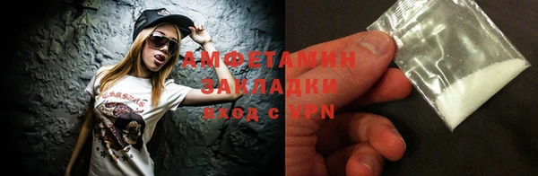 прущие грибы Аркадак