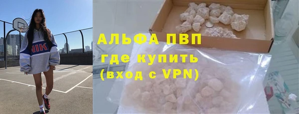 прущие грибы Аркадак