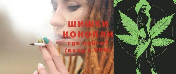 прущие грибы Аркадак