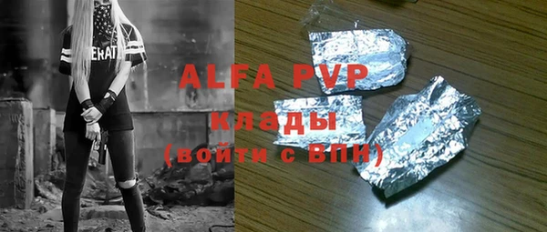 прущие грибы Аркадак