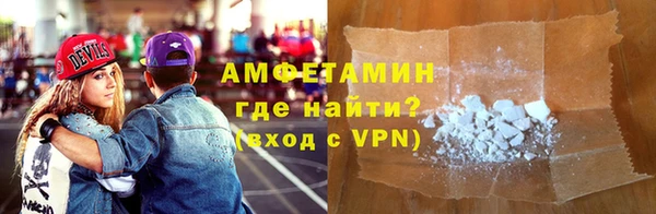 прущие грибы Аркадак