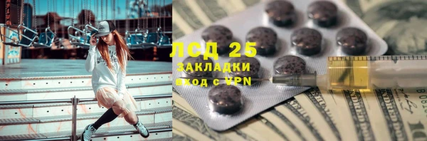 прущие грибы Аркадак