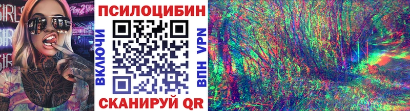 Галлюциногенные грибы Psilocybe  купить наркотик  Луга 